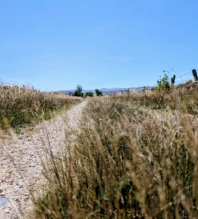 Acte 1 – Chemin de Saint-Jacques de Compostelle, du Puy-en-Velay à Nasbinals